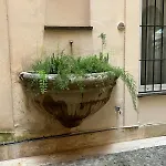Antico