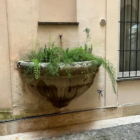 Antico